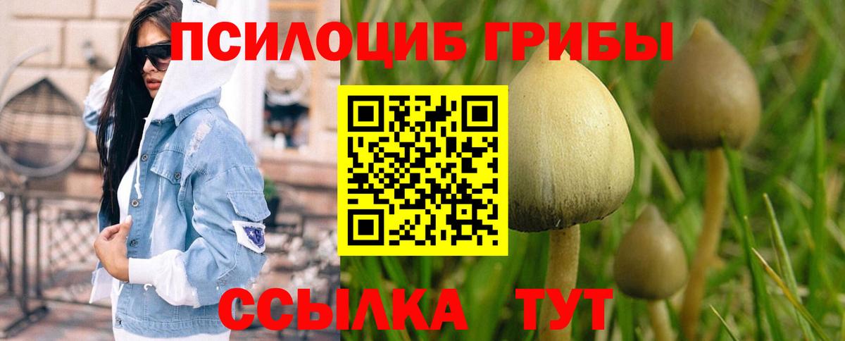 Галлюциногенные грибы Cubensis  Галлюциногенные грибы GOLDEN TEACHER  купить наркотики цена  Карталы  Вход с VPN 